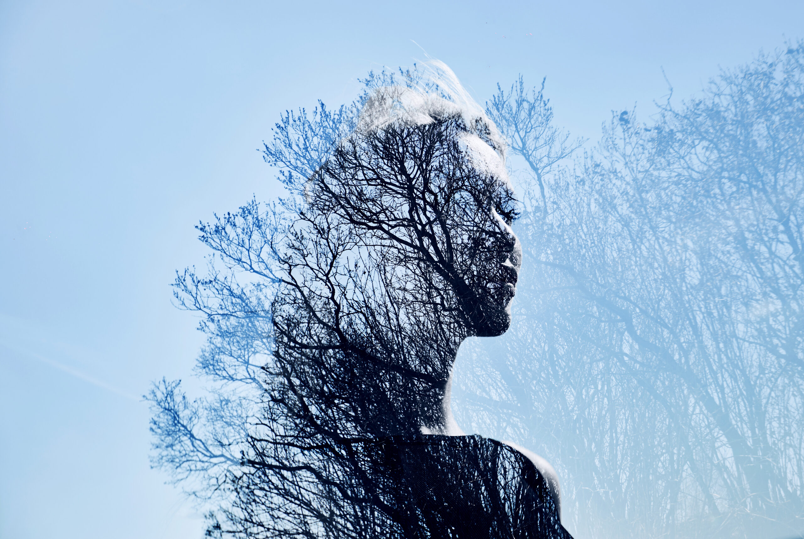 portrait of a woman with branches