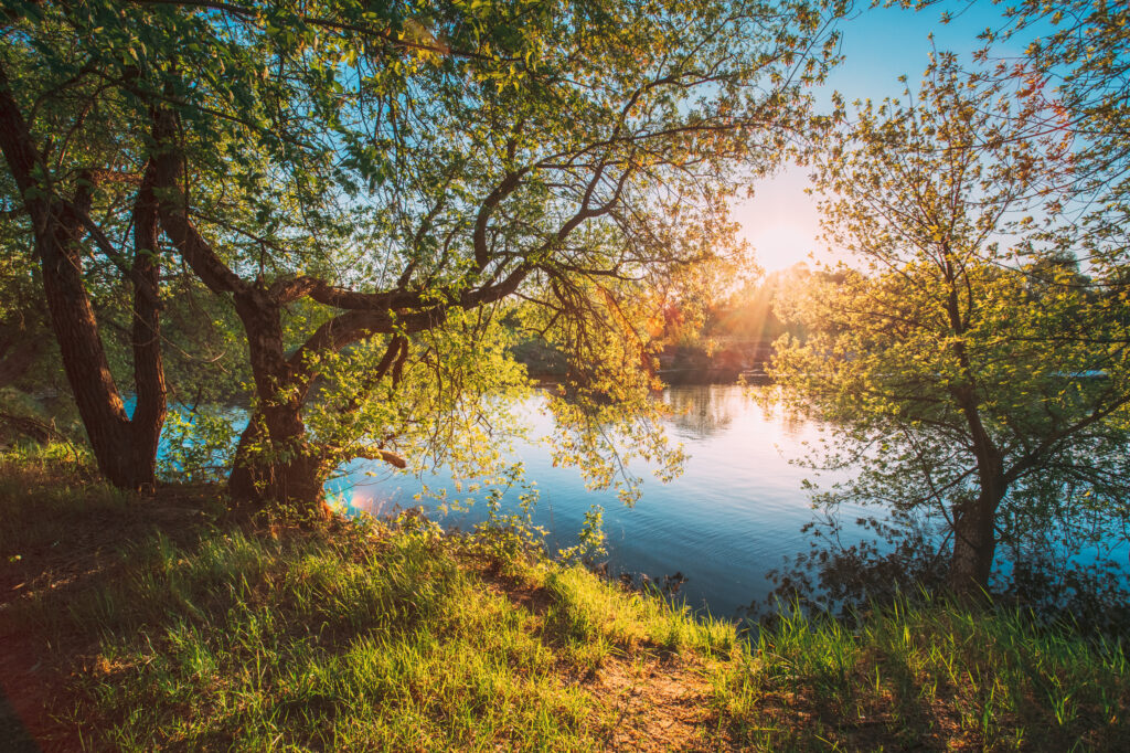 Sun shining beautiful nature with water