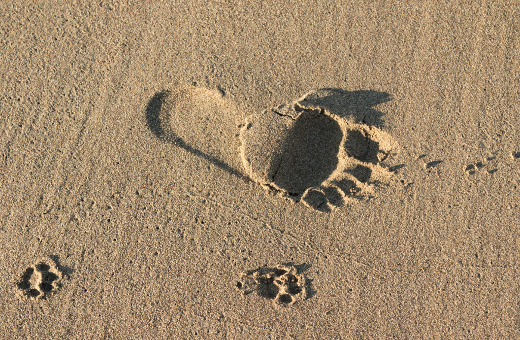 Footprint of man and dog