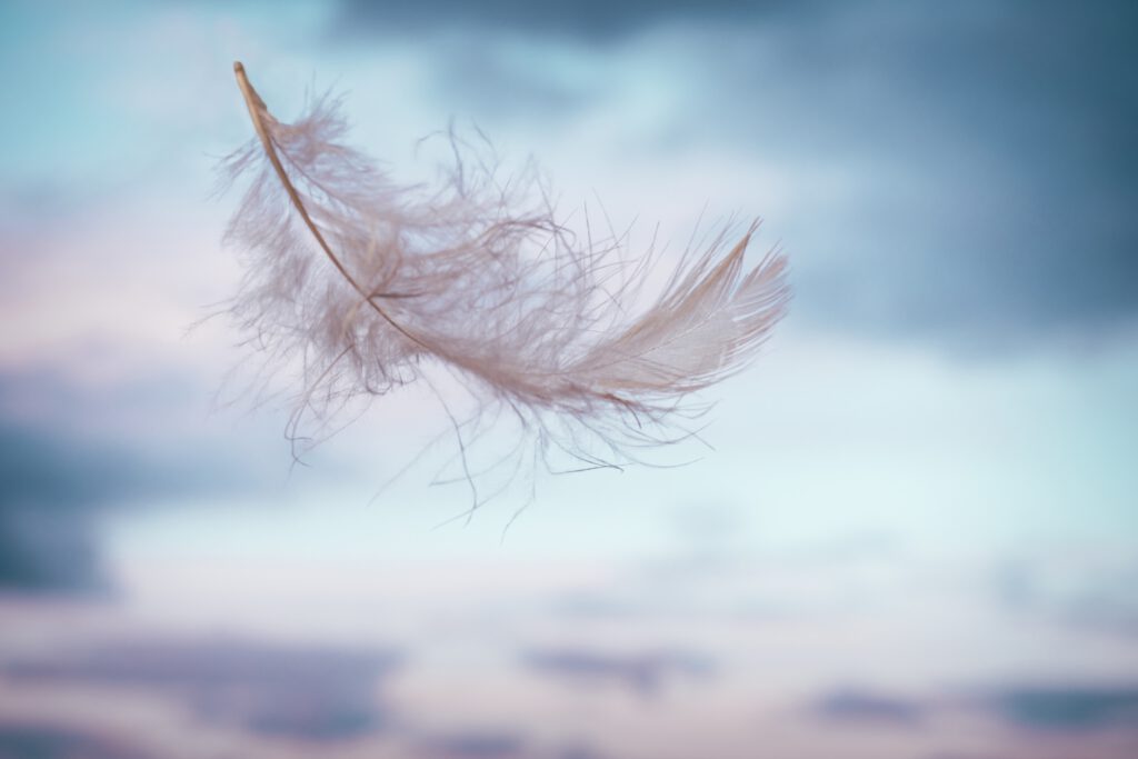 feather floating with a calm background